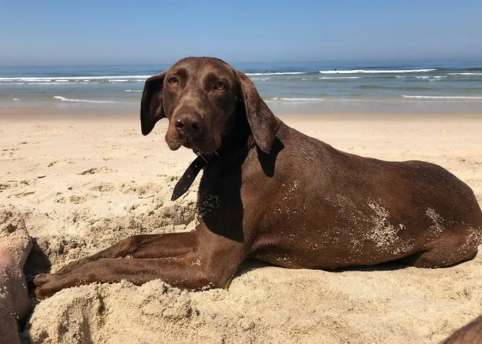 Beachliving