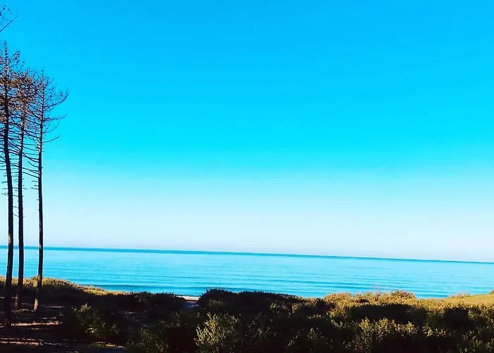 Beachliving