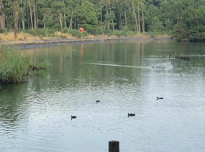 Beachliving * Cortegaca (Aveiro)